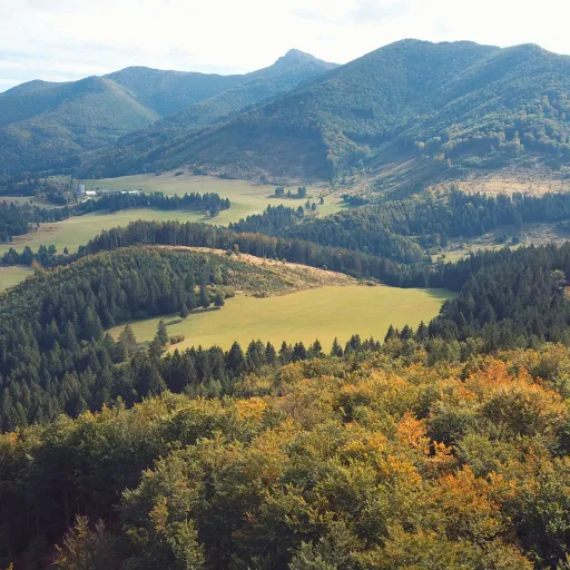 Fotogaléria